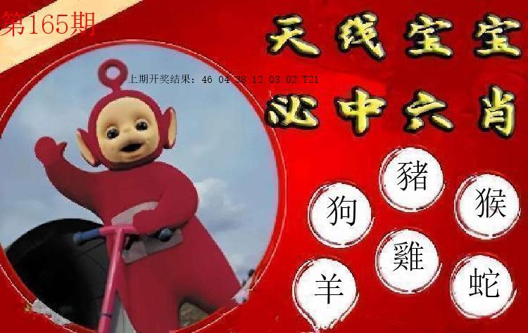 第164期