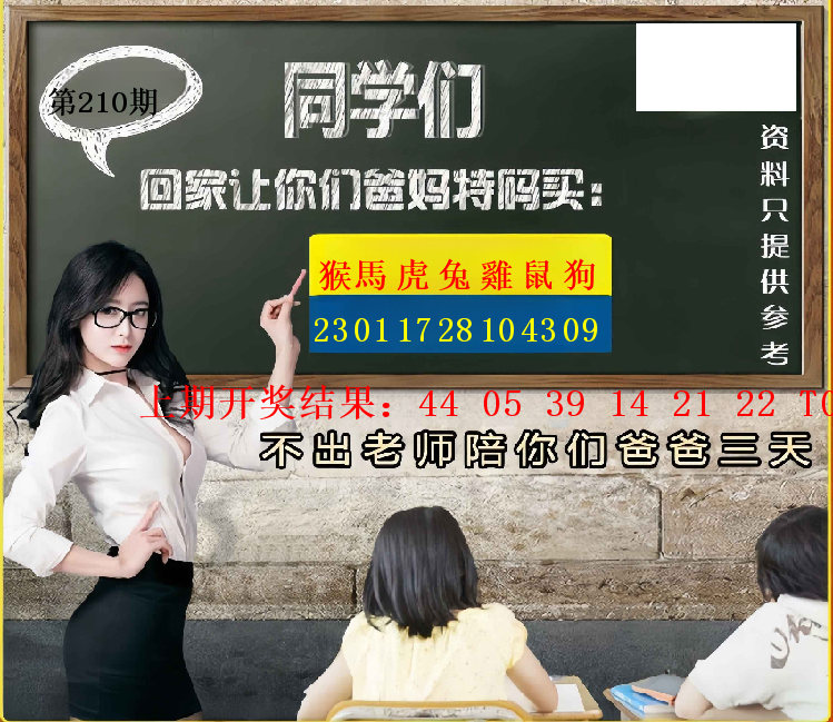 第209期