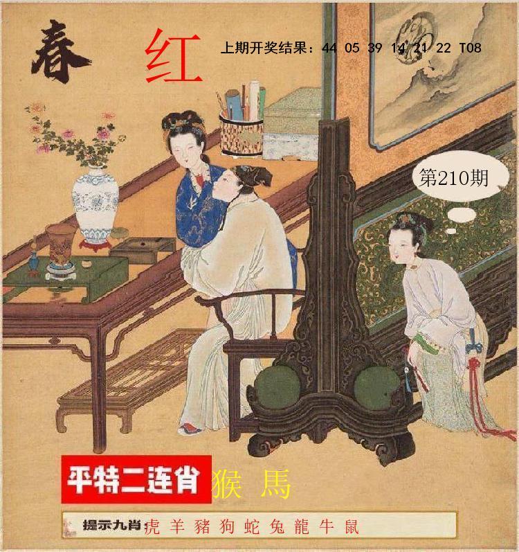 第209期