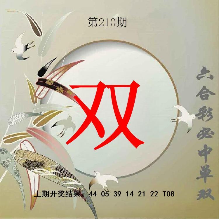 第209期