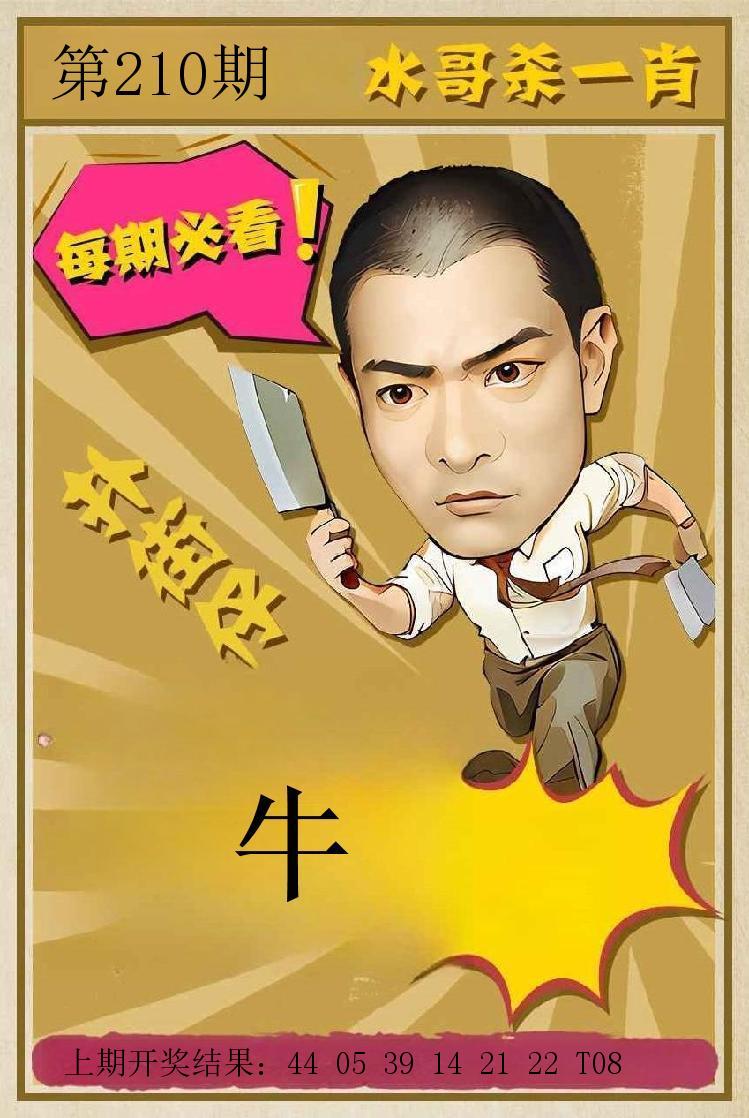 第209期